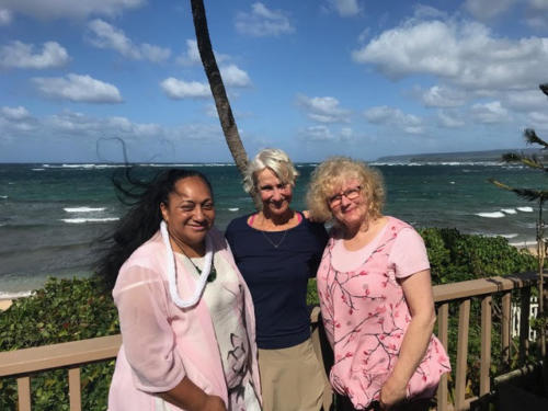 January 28, 2019 - Waialua, Hawai'i